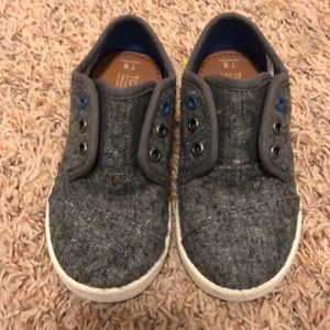 8T Toms sneakers